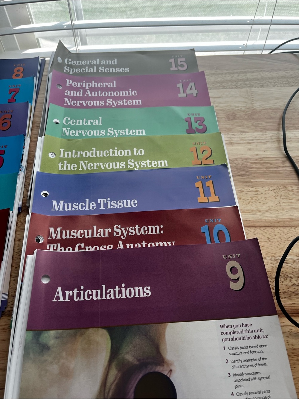 Exploring Anatomy and Physiology Amerman 4th Chapteres 9-15 Only - Picture 2 of 5